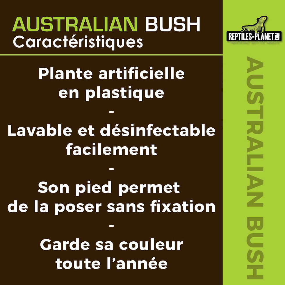 Thumbnail: Australian Bush - Plante Artificielle - 8x7x34 cm