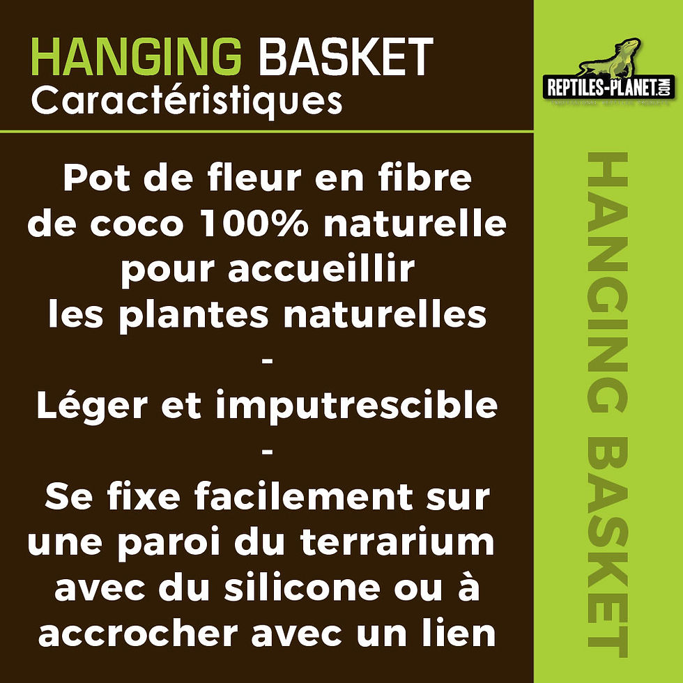 Miniaturbild: Hanging Basket Small - Kokosfaser-Topf - 7x5 cm
