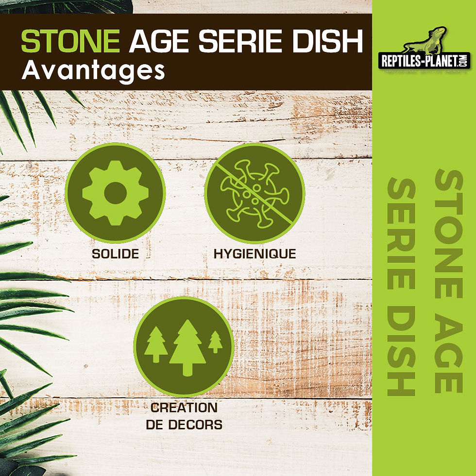 Miniaturbild: Stone Age Serie Dish L - Futterschale - 17,5x14x3,5 cm
