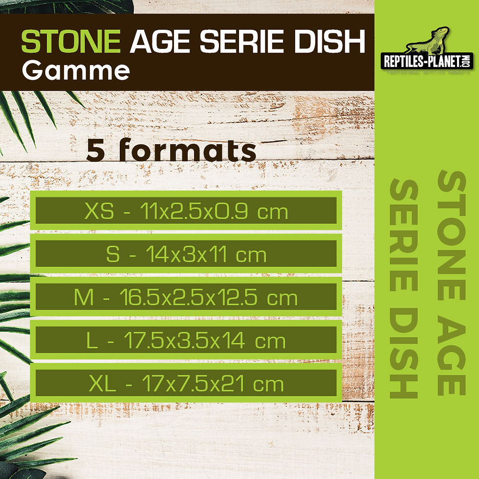 Miniatura: Stone age Serie Dish XS - Ciotola - 11x2,5x1 cm
