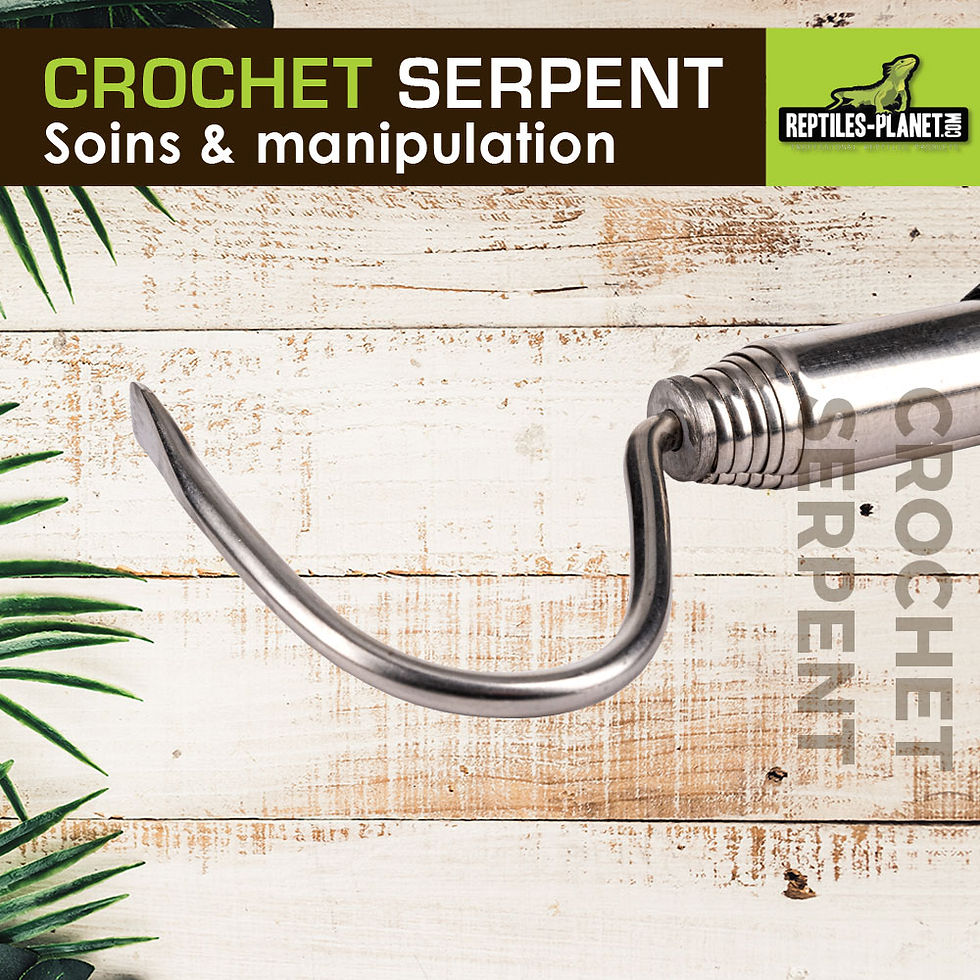 Miniatura: Gancho serpiente telescópico - 60 cm