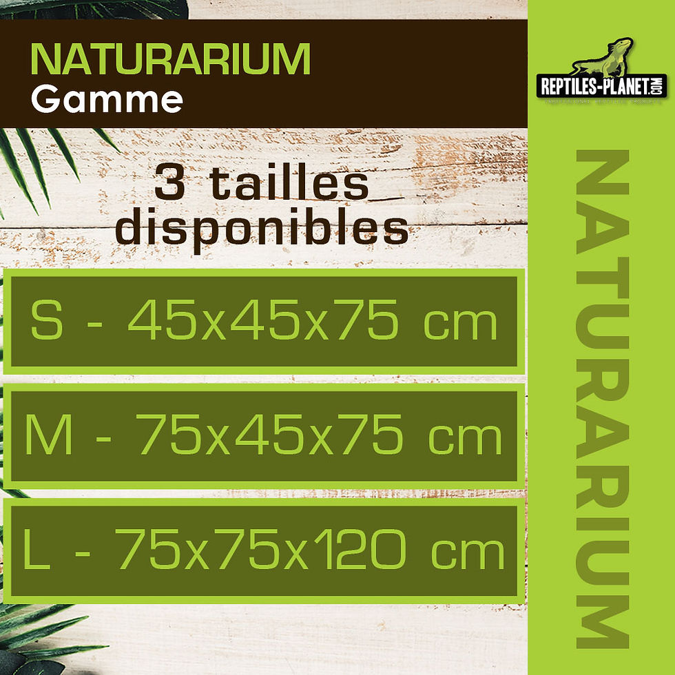 Miniatura: Naturarium - Terrario Rettangolare con Rete Flessibile - 75x45x75 cm
