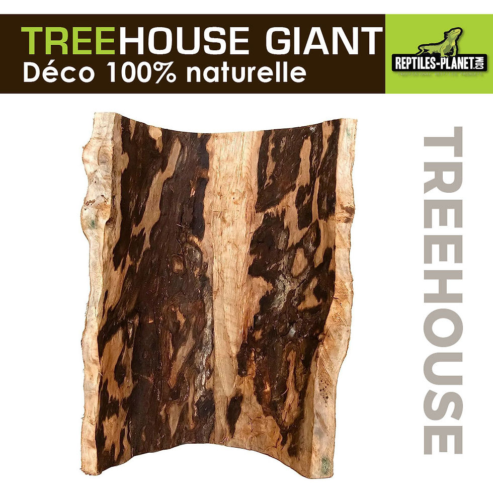 Miniatura: Treehouse Giant - Esconderijo de Madeira - 25 cm
