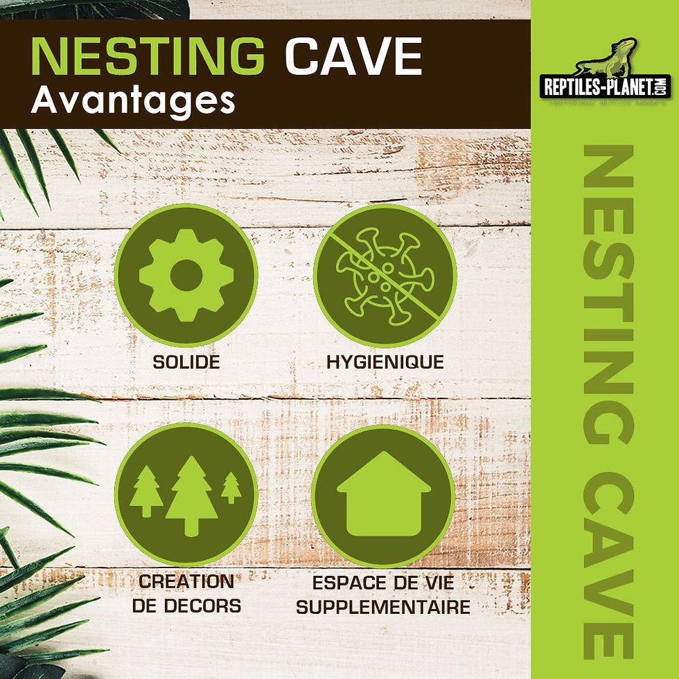 Miniaturbild: Nesting Cave XL - Eiablagehöhle für Geckos - 20,5x15,5x16 cm
