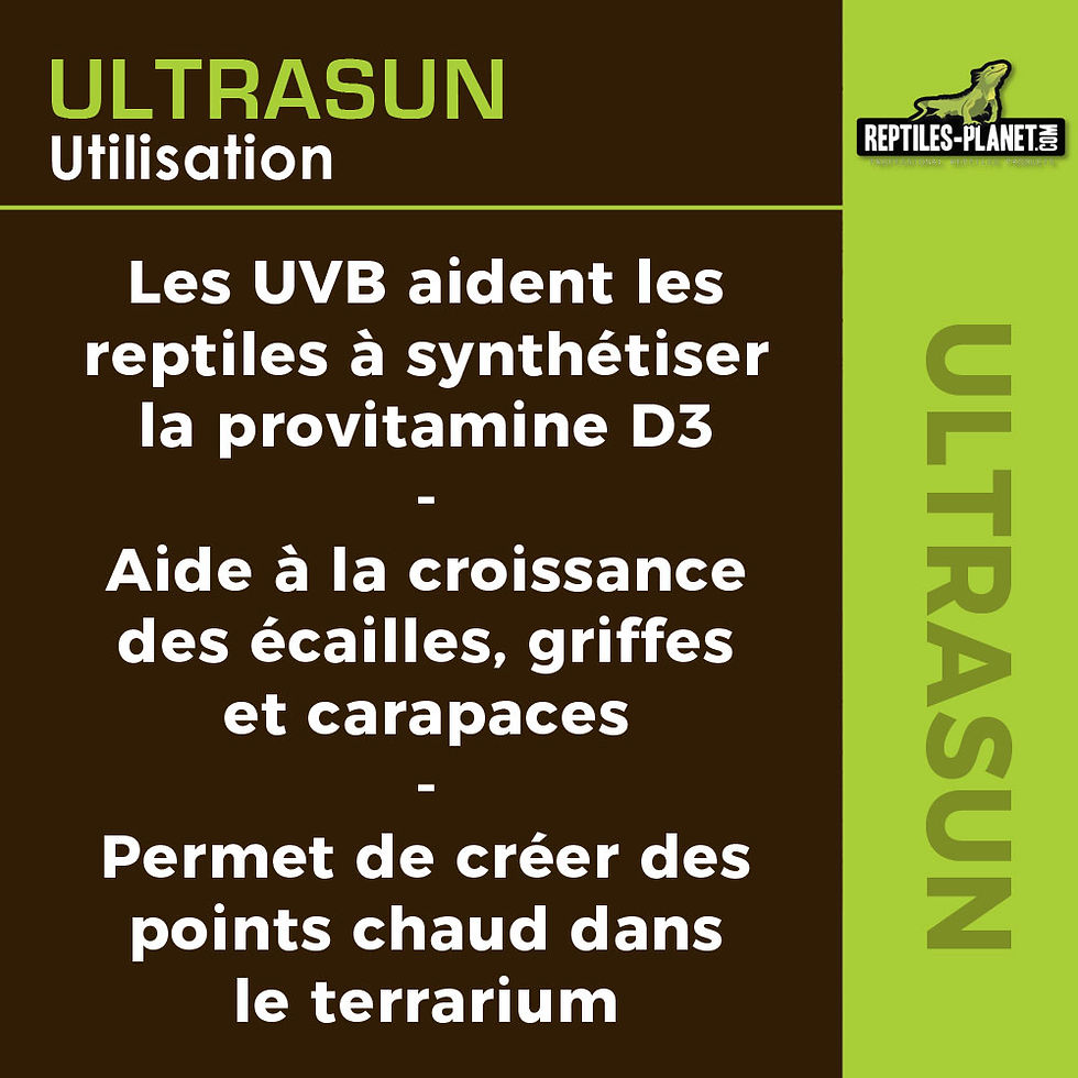 Miniature : Ultrasun 100 W -  Ampoule UVA UVB pour Reptiles