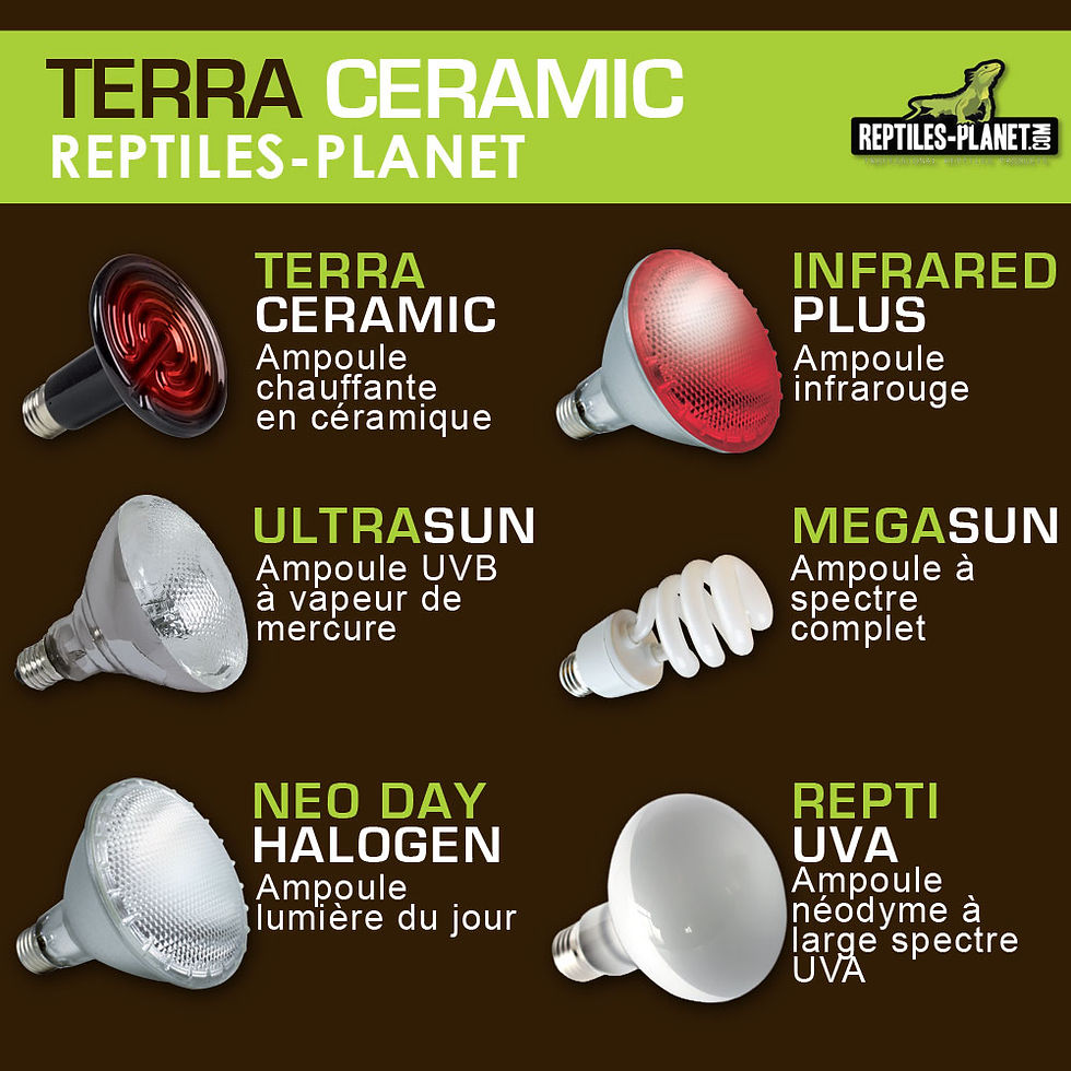 Miniaturbild: Terra Ceramic 150 W - Wärmelampe für Reptilien
