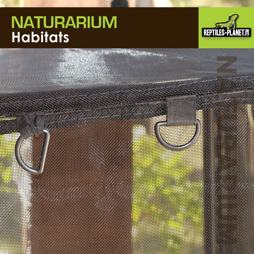 Miniatura: Naturarium - Terrario Rettangolare con Rete Flessibile - 75x45x75 cm
