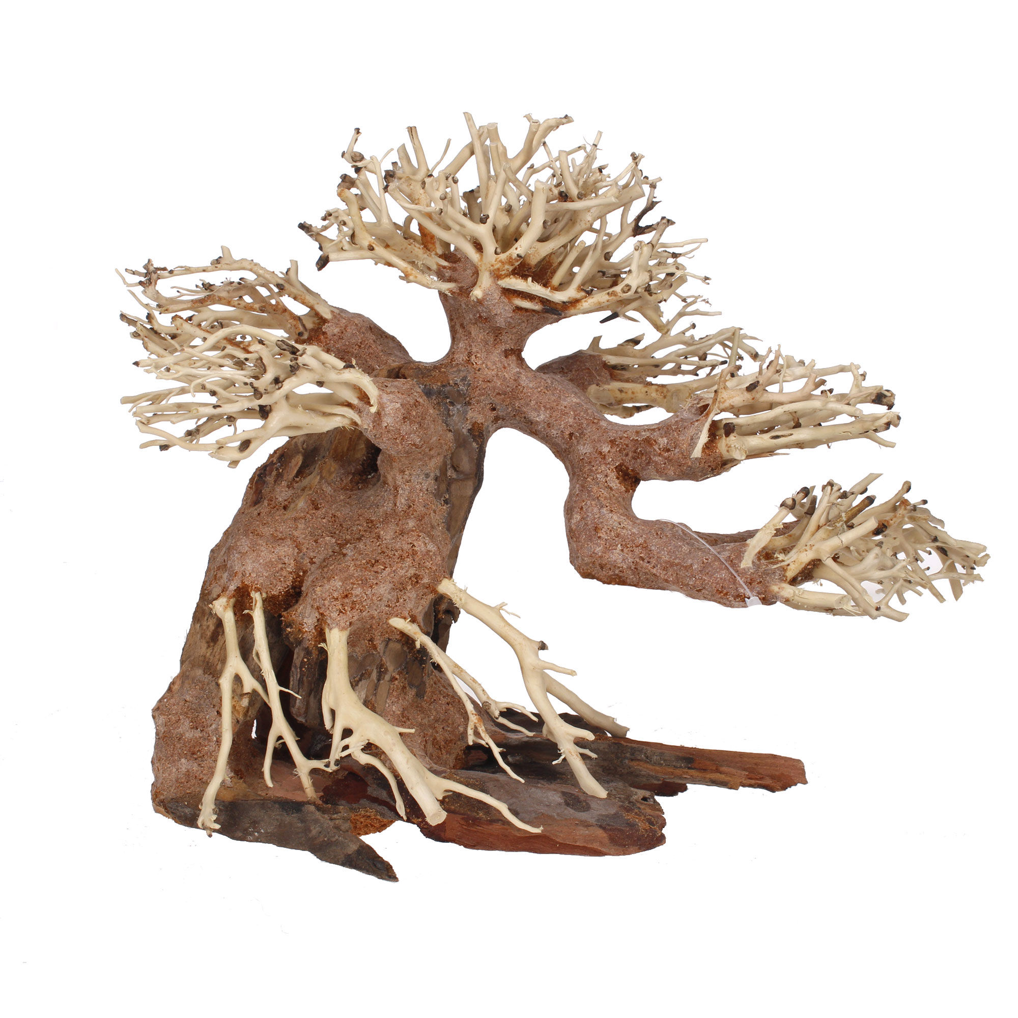 Bonsaï Nature MM - env. 24x20x16 cm