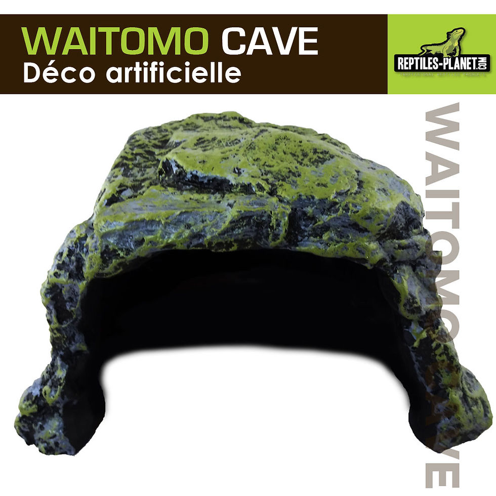 Miniature : Waitomo Cave L - Grotte Artificielle - 18x18x12 cm