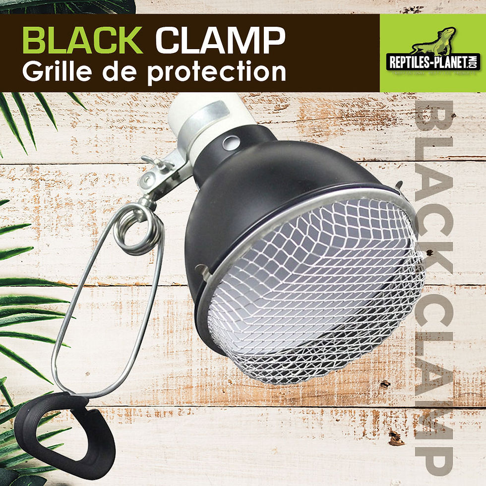 Thumbnail: Grille de Protection pour Support d'Ampoule Black Clamp 14