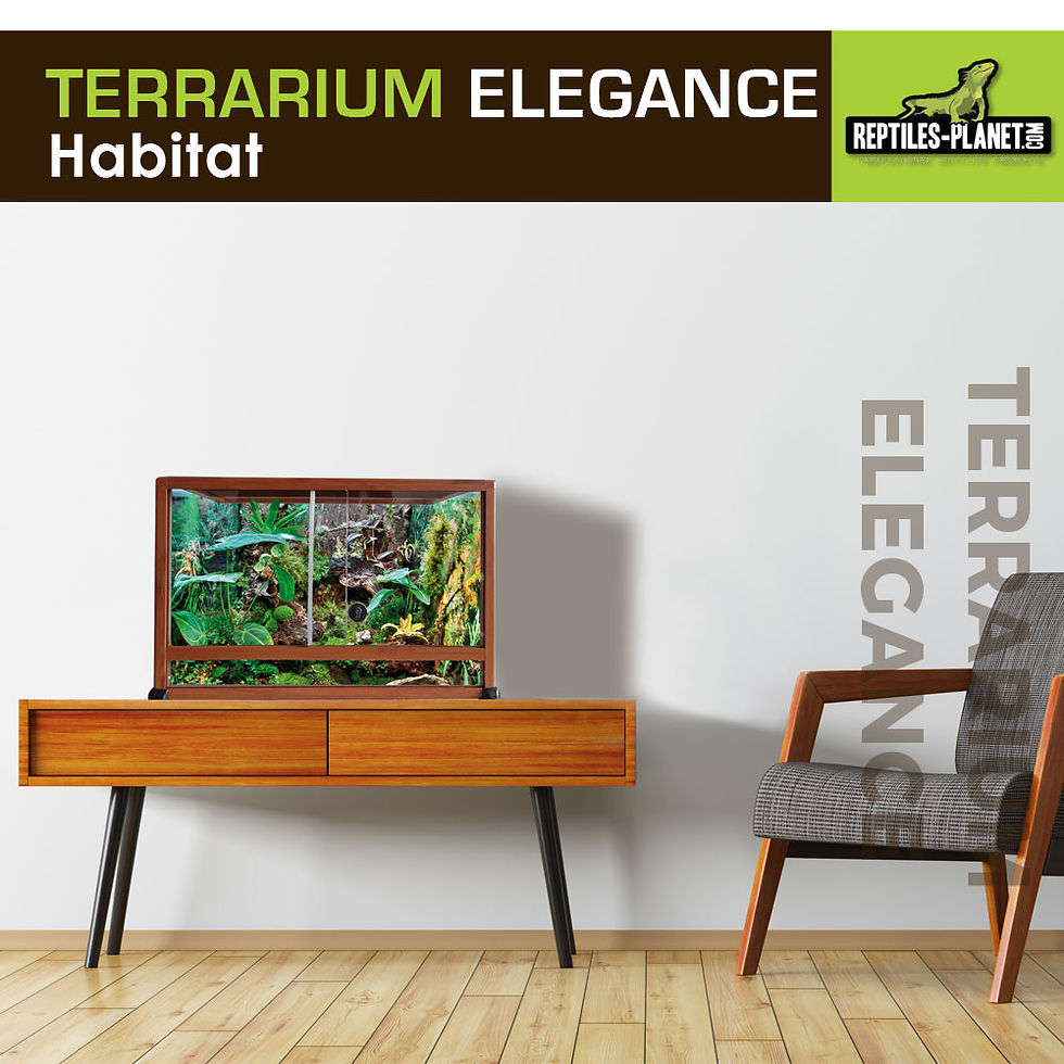 Miniature : Terrarium Aluminium Elegance - Bois - 80x45x45 cm