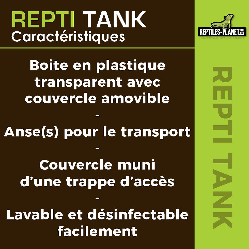 Miniatura: Repti Tank S - Terrario in Plastica con Coperchio Amovibile - 21,5x13,5x14 cm
