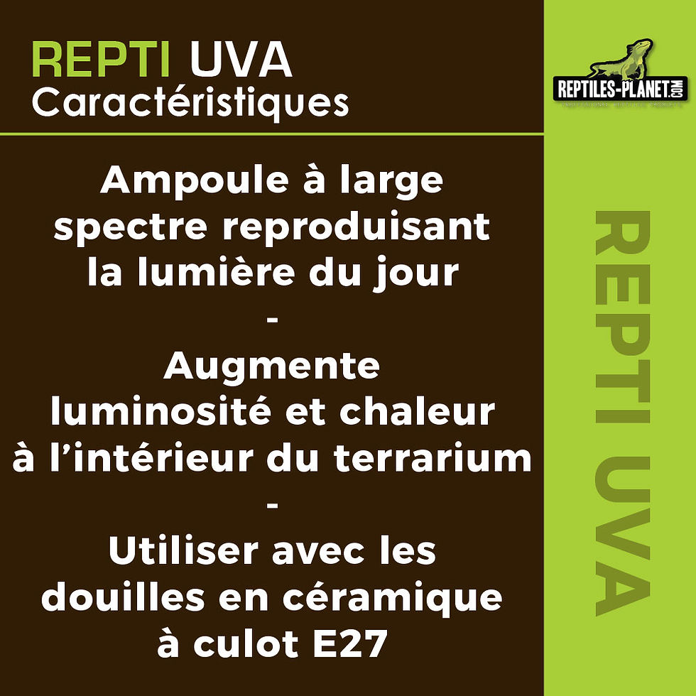 Miniature : Repti UVA -  Ampoule Chauffante avec UVA - 100 W