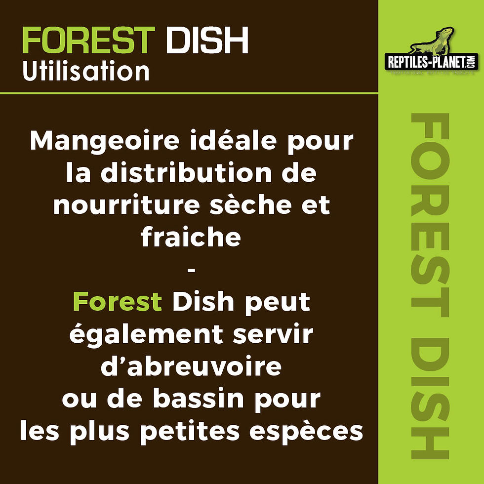 Thumbnail: Forest Dish - Voeder- of Drinkbak voor Reptielen - 14x11,5x2,5 cm
