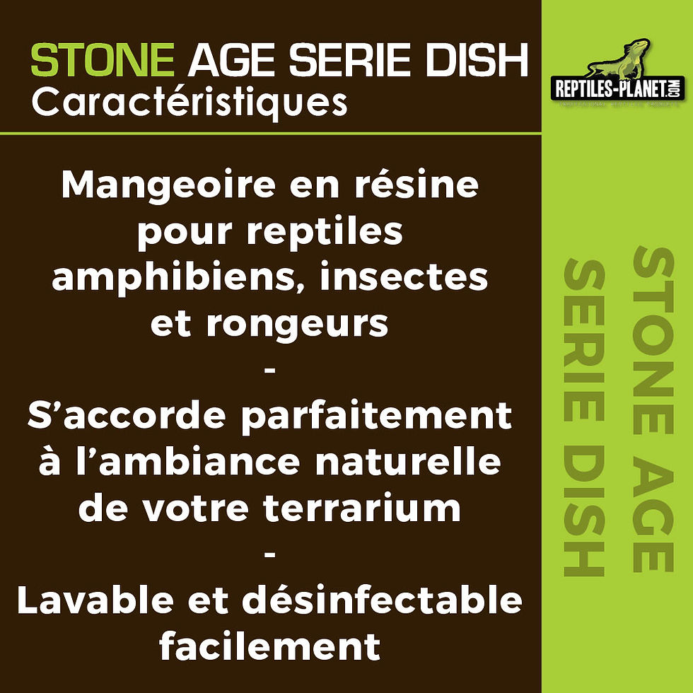 Miniaturbild: Stone Age Serie Dish M - Napf - 16,5x2,5x12,5 cm
