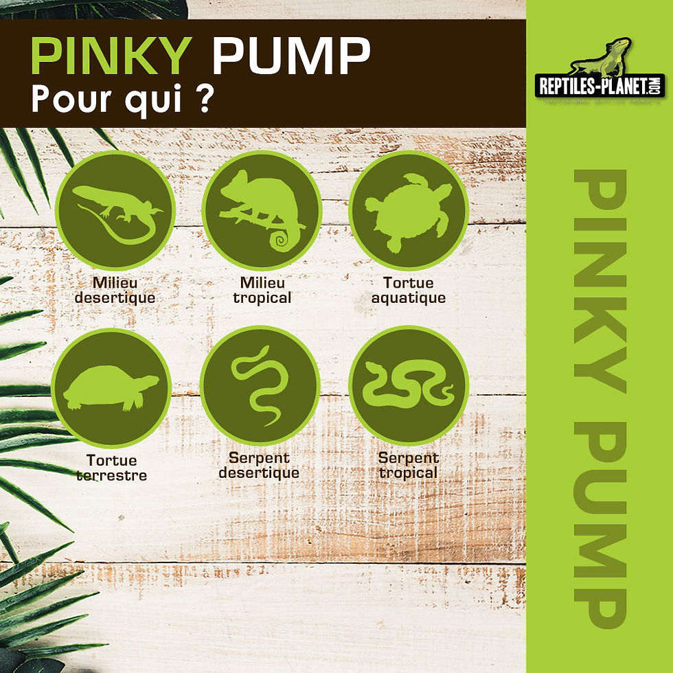 Miniaturbild: Pinky Pump - Fütterungsnadeln - 5 Stk.
