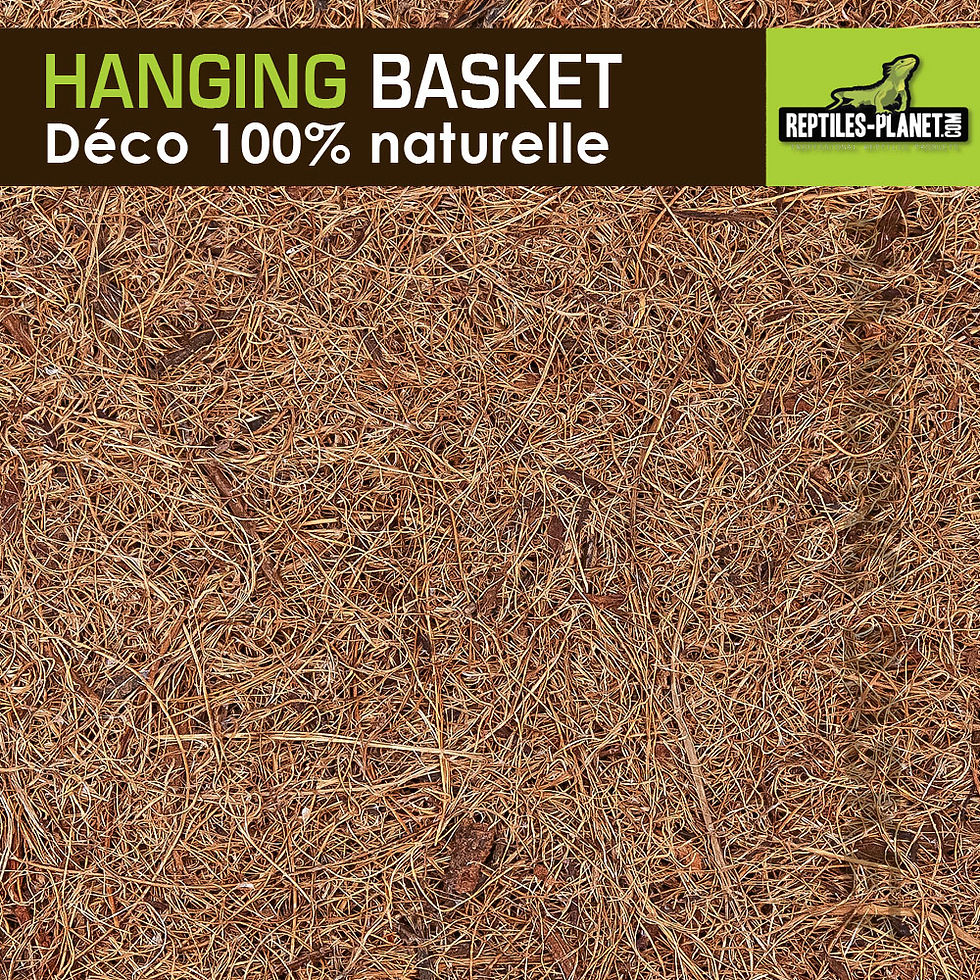 Thumbnail: Hanging Basket Small - Pot van Kokosvezel - 7x5 cm
