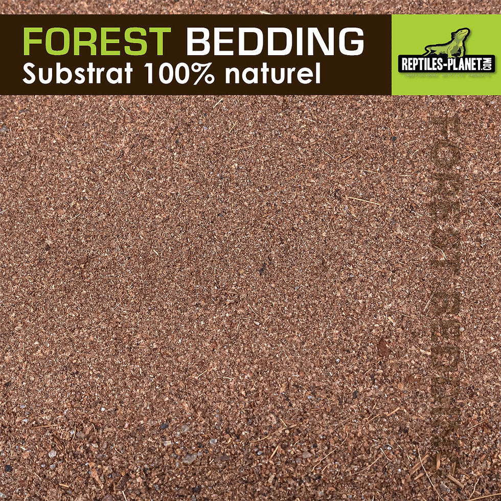Miniaturbild: Forest Bedding - Gepresster Kokoshumus für Terrarien - 650 g
