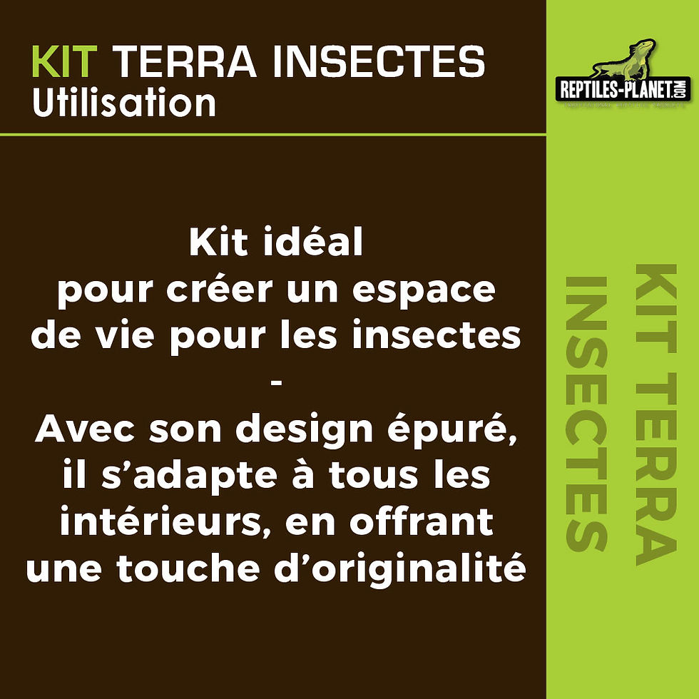 Thumbnail: Terra Insects Kit - 25x30x30 cm

