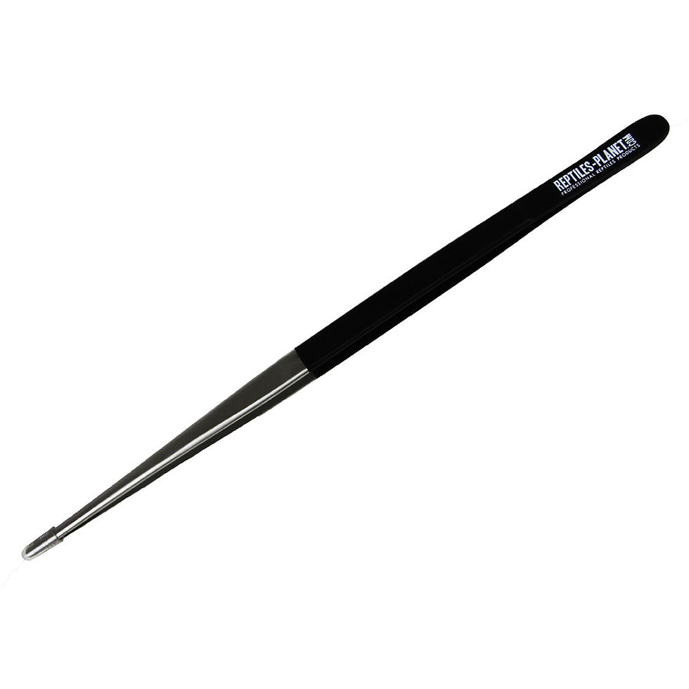 Pince de Nourrissage