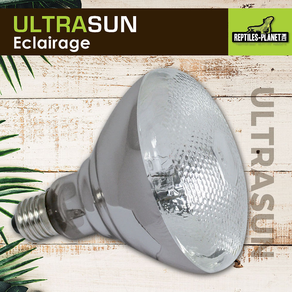 Miniaturbild: Ultrasun 100 W - UVA-UVB-Lampe für Reptilien
