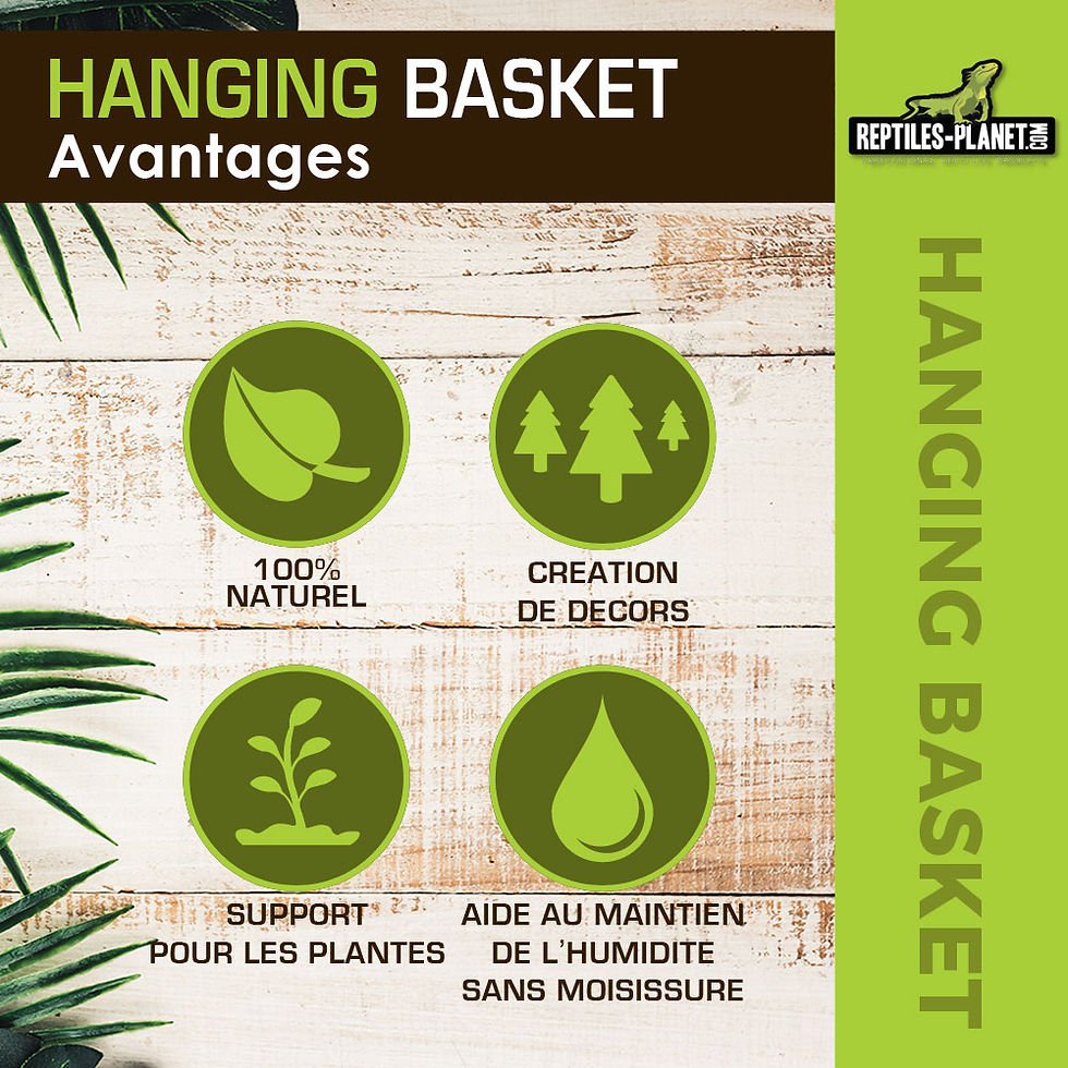 Thumbnail: Hanging Basket Small - Pot van Kokosvezel - 7x5 cm
