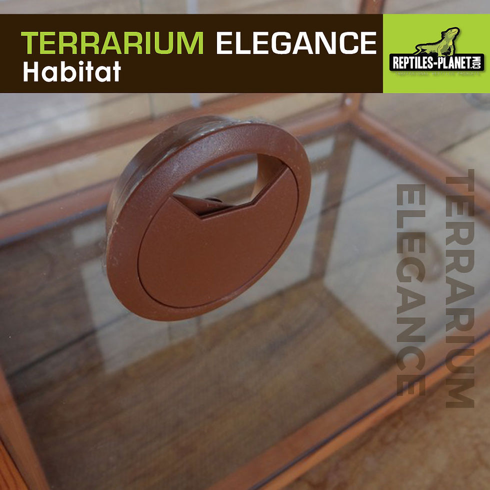 Miniatura: Terrario Elegance - Madera - 80x45x45 cm