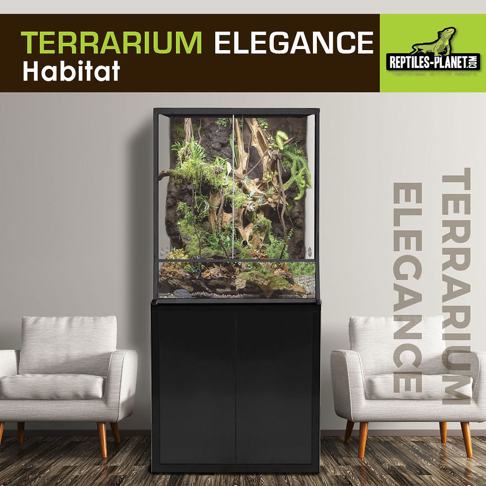 Miniatura: Terrario Elegance - Negro -  80x45x45 cm