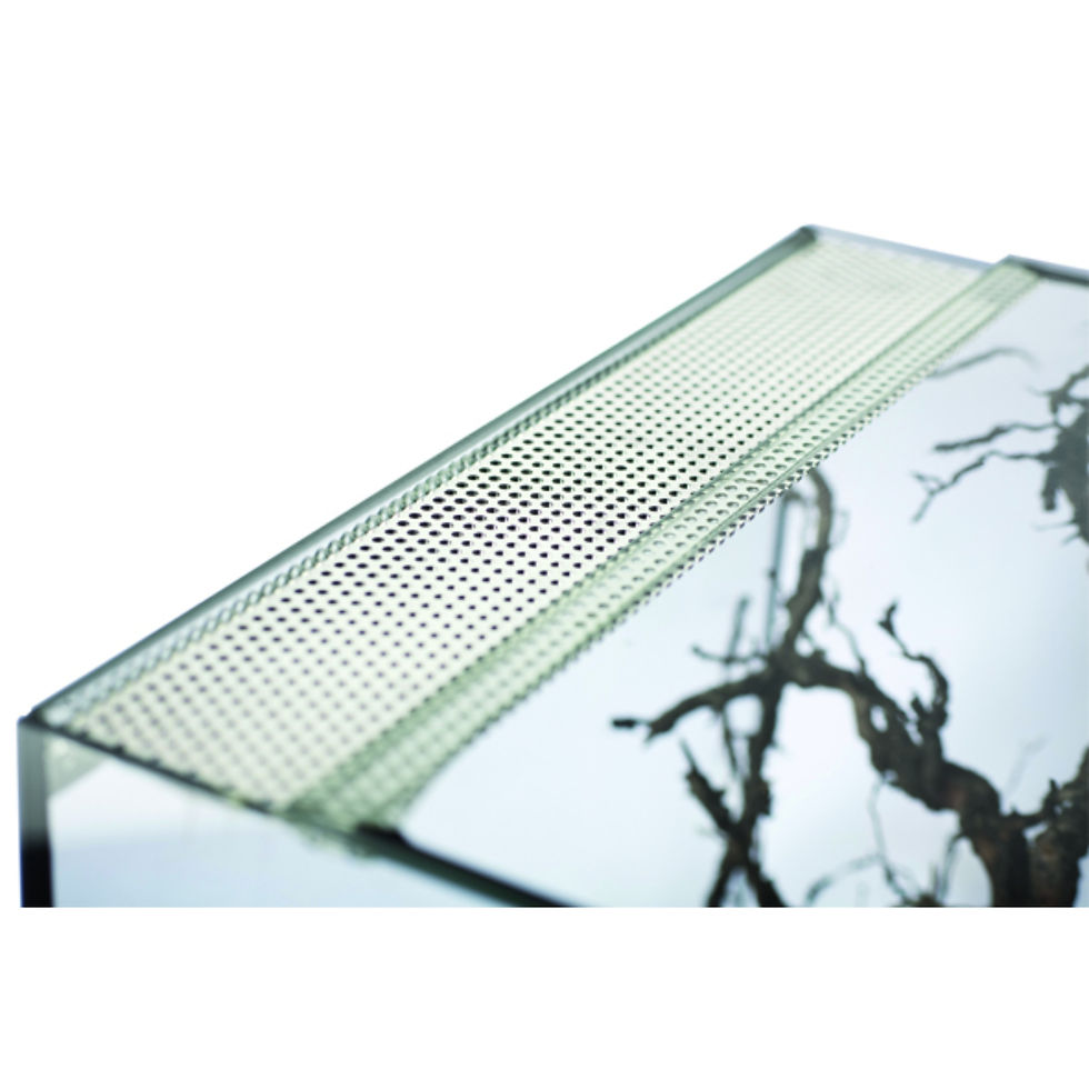 Miniature : Terrarium en verre - 40x30x30 cm