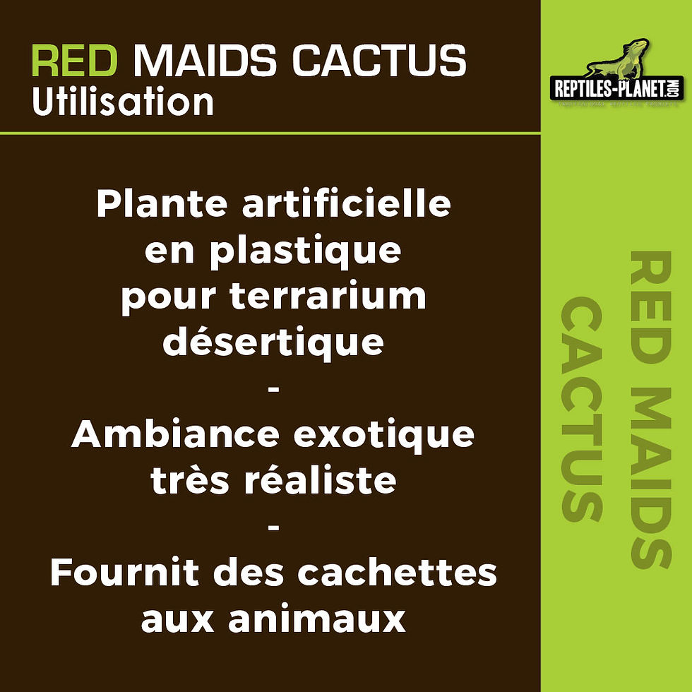 Miniatura: Red Maids Cactus - Cacto Artificial - 7x7x15,5 cm
