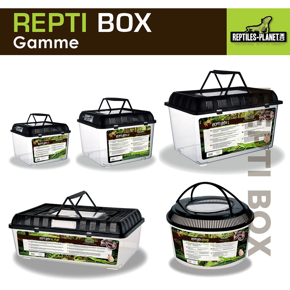 Miniaturbild: Repti Box L - Transportbox aus Kunststoff mit Deckel - 32,5x22x21 cm
