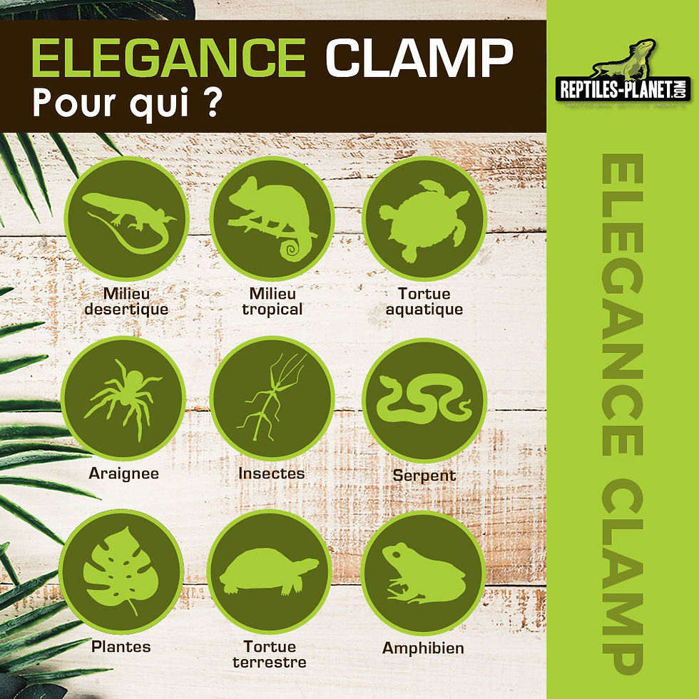 Miniaturbild: Elegance Clamp - Klemmbefestigung für Lampenhalterung
