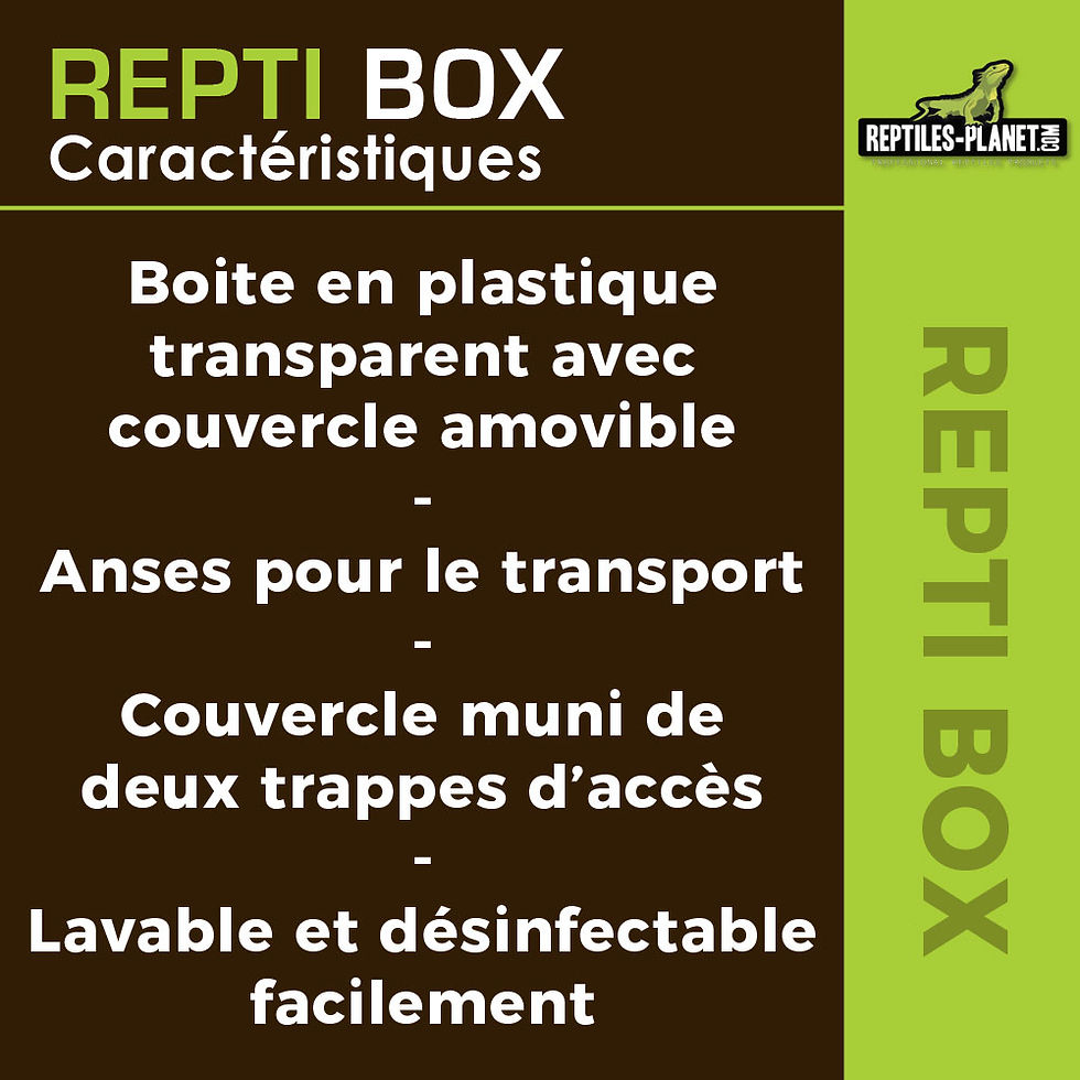 Miniatura: Repti Box M -  26x26x20 cm