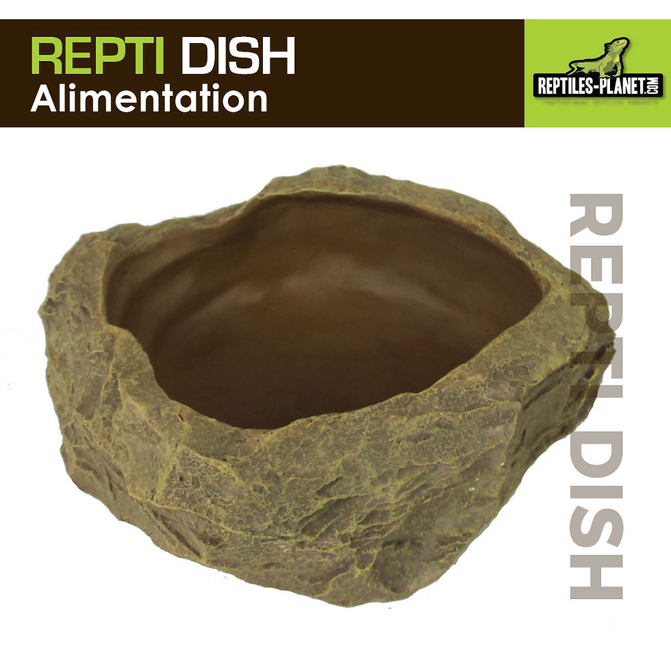 Thumbnail: Repti Dish Deep XXL - Voederbak - 24x22x10 cm
