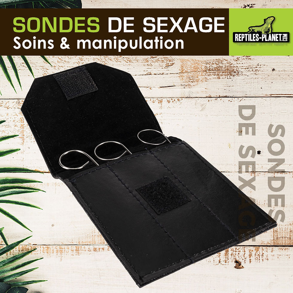 Miniatura: Sonda de sexado para serpiente juvenil - 3 pcs
