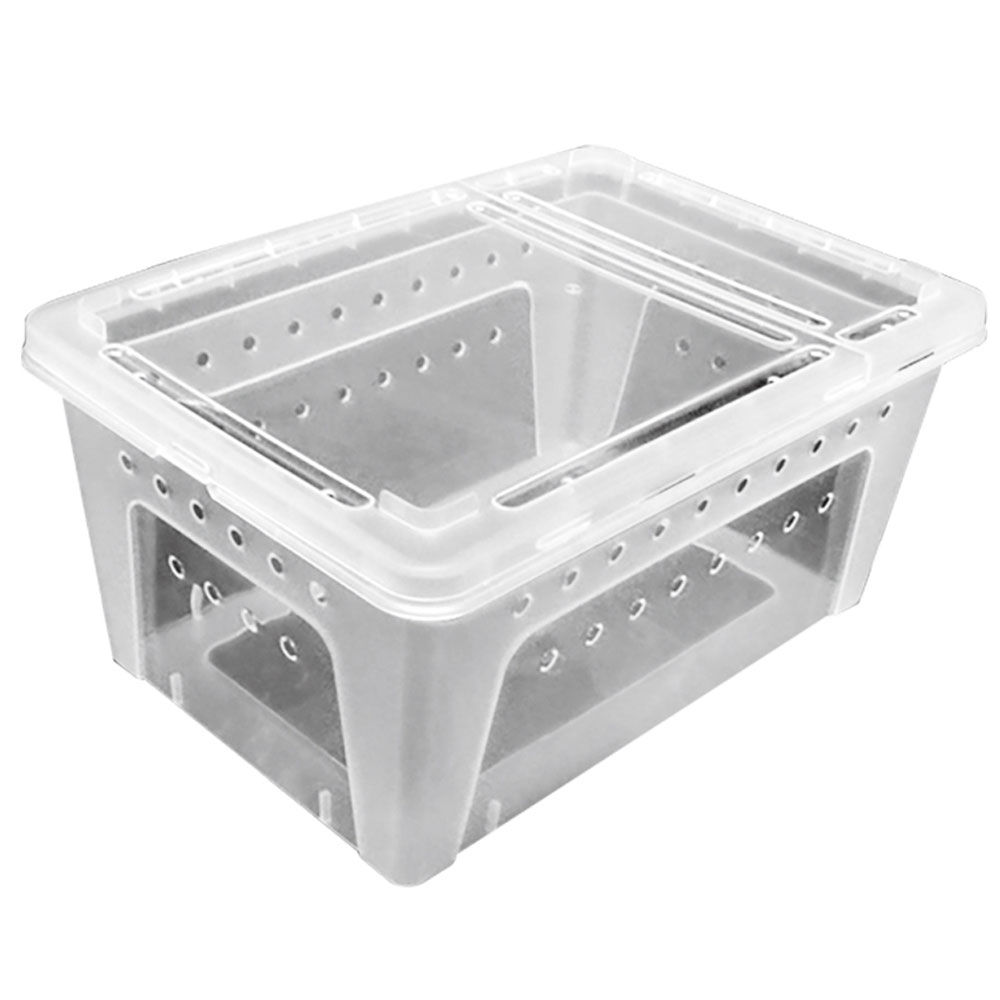 Boîte d'élevage pour reptiles et insectes.