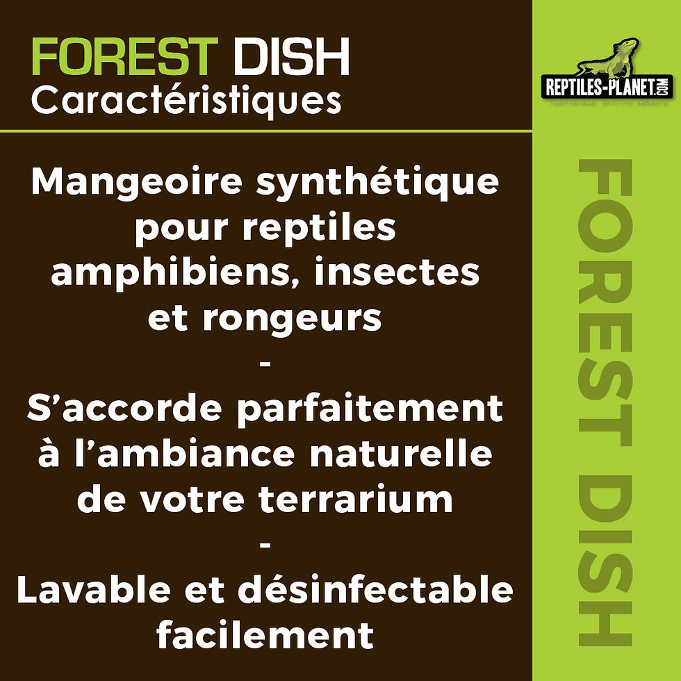 Thumbnail: Forest Dish - Voeder- of Drinkbak voor Reptielen - 14x11,5x2,5 cm

