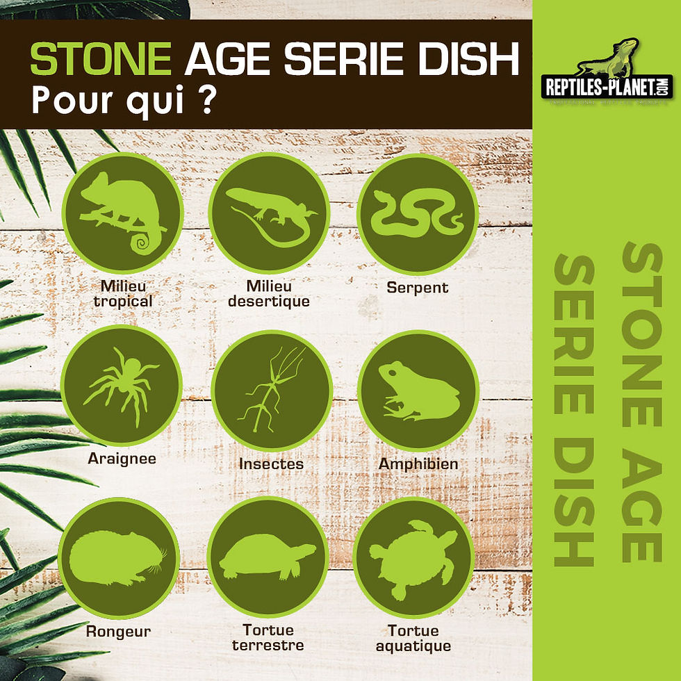 Thumbnail: Stone Age Serie Dish L - Voerbak - 17,5x14x3,5 cm
