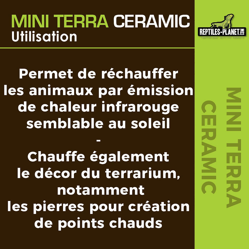 Thumbnail: Mini Terra Ceramic 20 W - Heating Bulb for Reptiles
