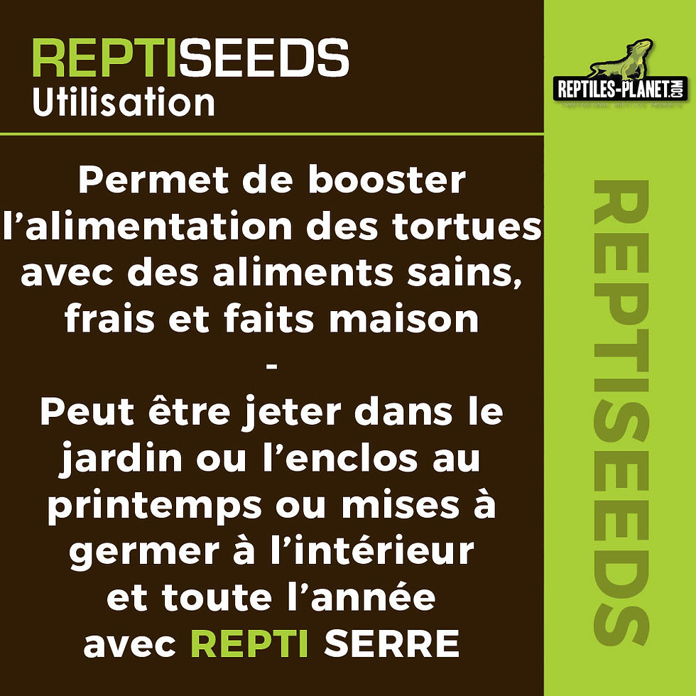 Miniature : Reptiseeds - Mélange de Graines à Germer pour Tortue Terrestre - 40 g