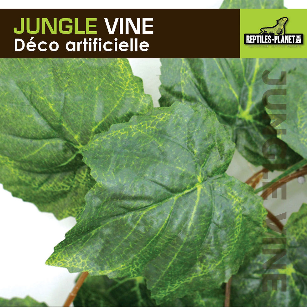 Miniatura: Planta de tela Amazon Jungle Vine - 2,6 m