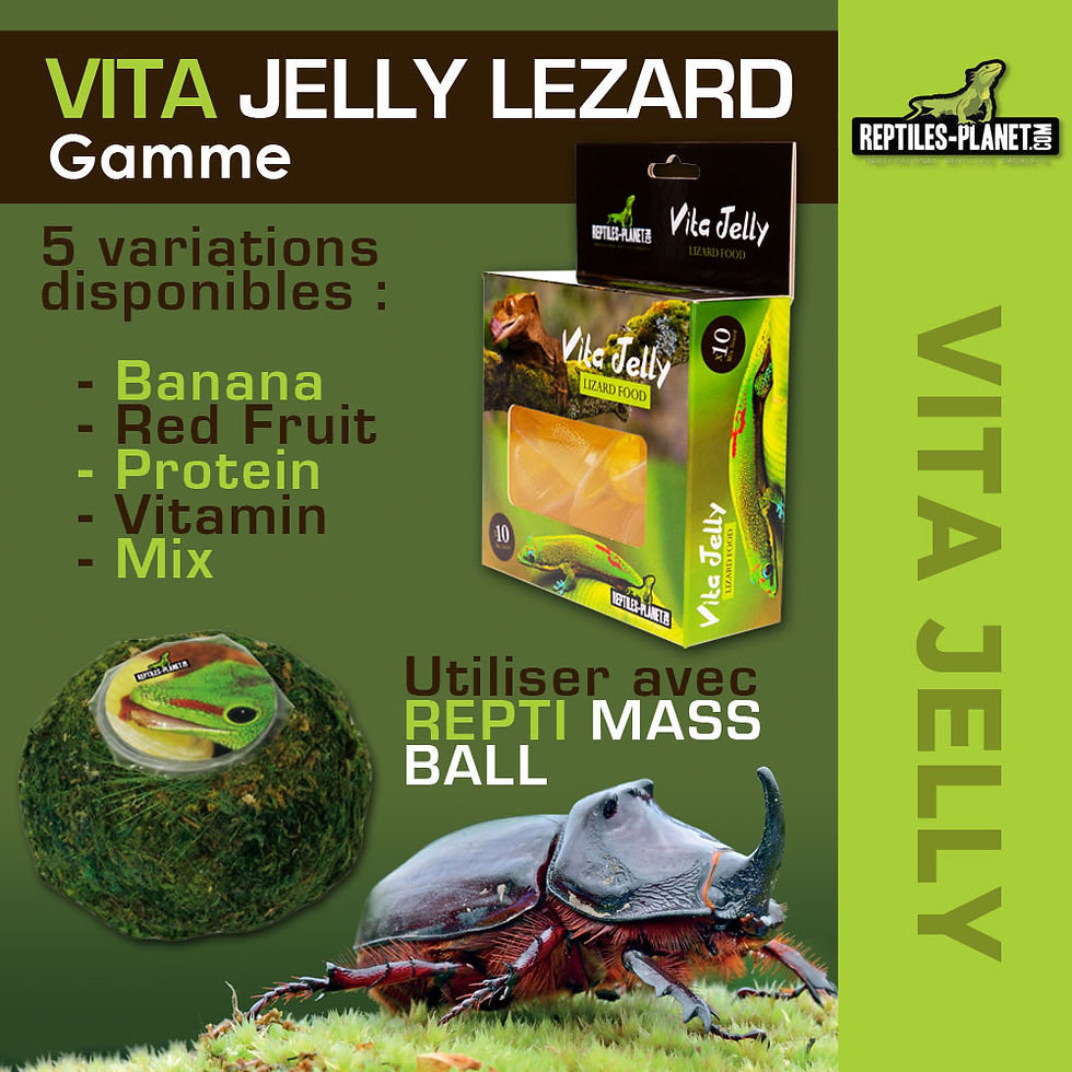 Thumbnail: Vita Jelly Protein for Lizard - 10 pcs
