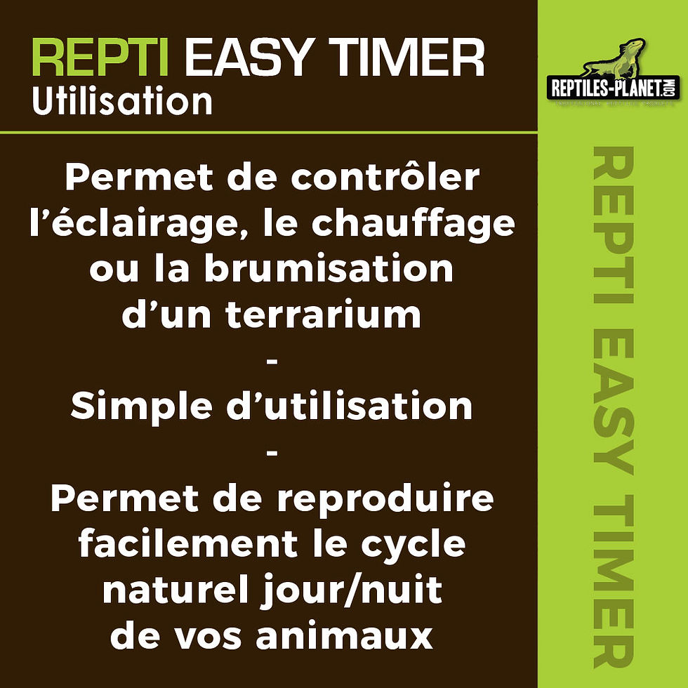 Miniatura: Repti Easy Timer