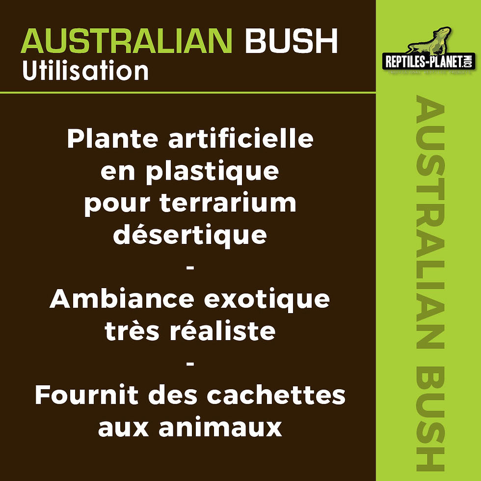 Thumbnail: Australian Bush - Plante Artificielle - 8x7x34 cm