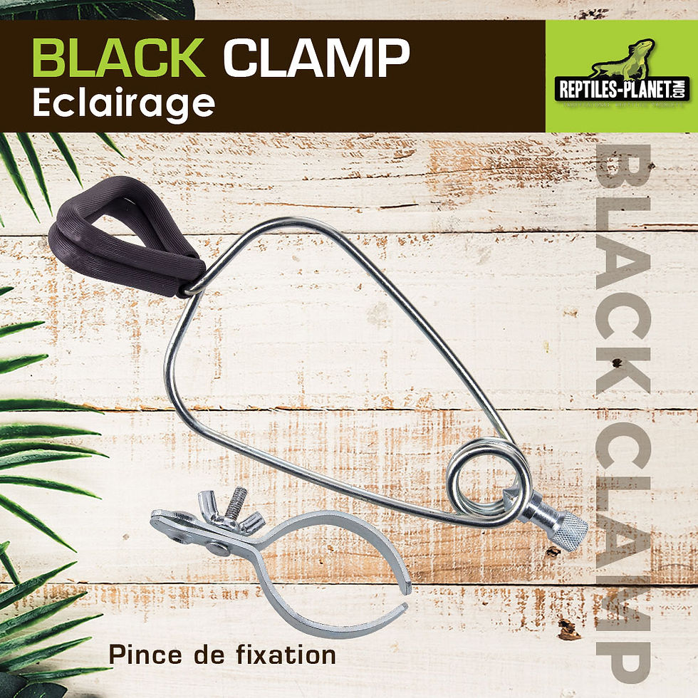 Thumbnail: Black Clamp 18 - Clamp Lamp Holder for Terrarium - Ø 18 cm - H 22 cm
