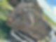 tan-boulder1.JPEG