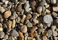 Standing Stone Nursery Logo