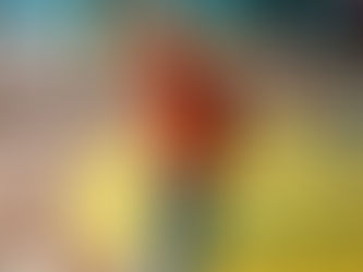 Змагання з метальних моделей планерів