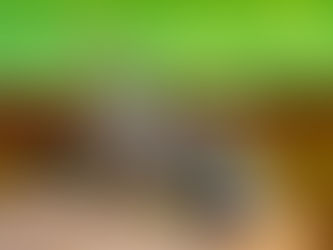 Запрошуємо до участі у виставці-конкурсі з початкового технічного моделювання