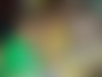 ШУКАЄМО МЕЦЕНАТА